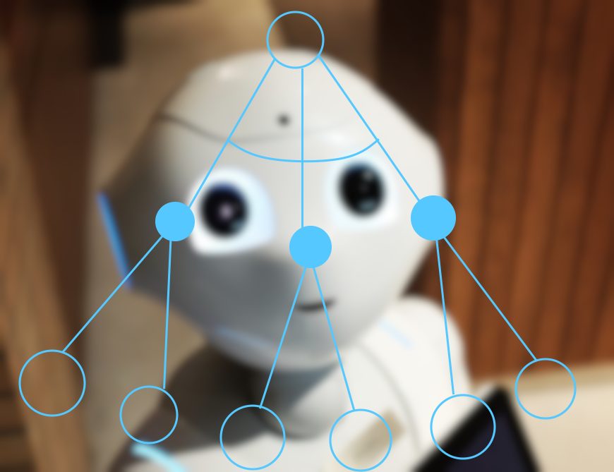 Robot Learning