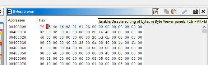 Ghidra Hex Editor